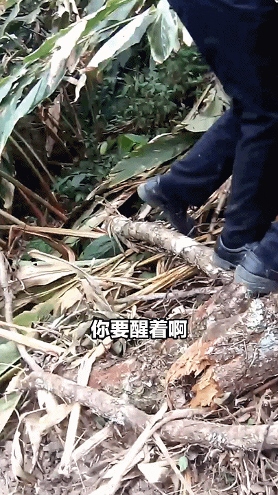 “不要睡啊！老婆娃娃还在等着哟！”