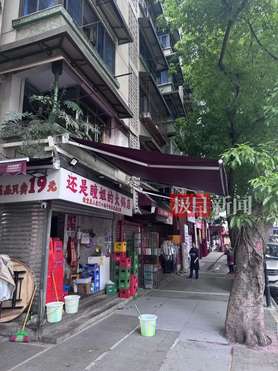 猫咪掉进火锅，烫伤9名食客！店主做法获怒赞，门店最新回应 ... ... ...