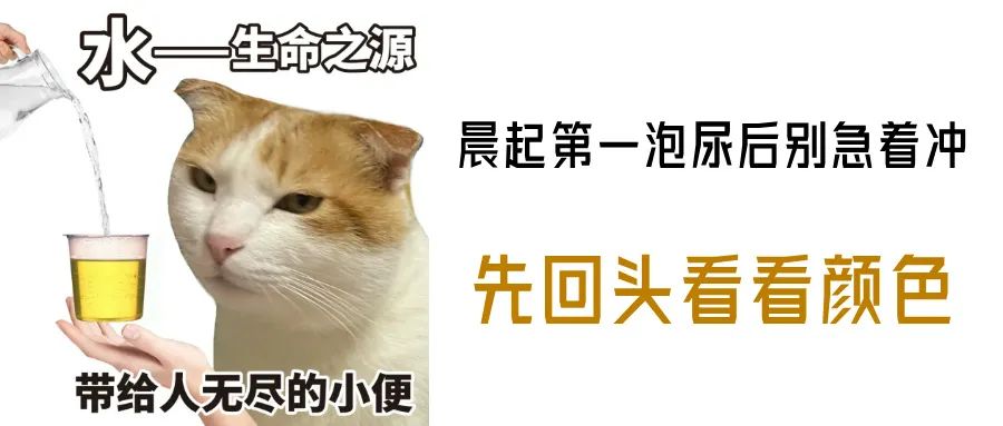 注意 | 别小看“屁多屁臭”！医生：可能是你的肠道在预警→ ... ...