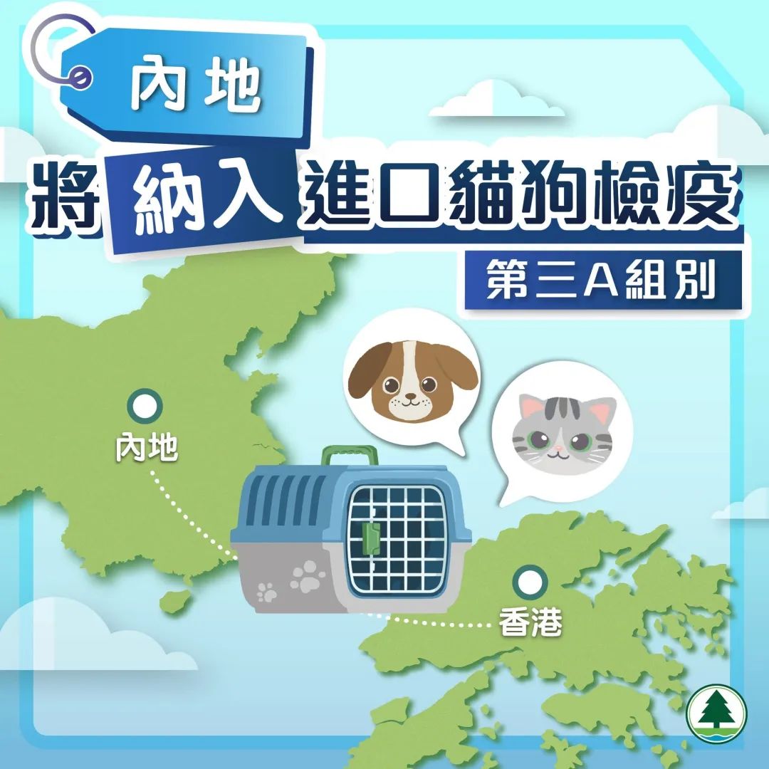 内地猫狗入境香港，检疫期大幅缩至30天
