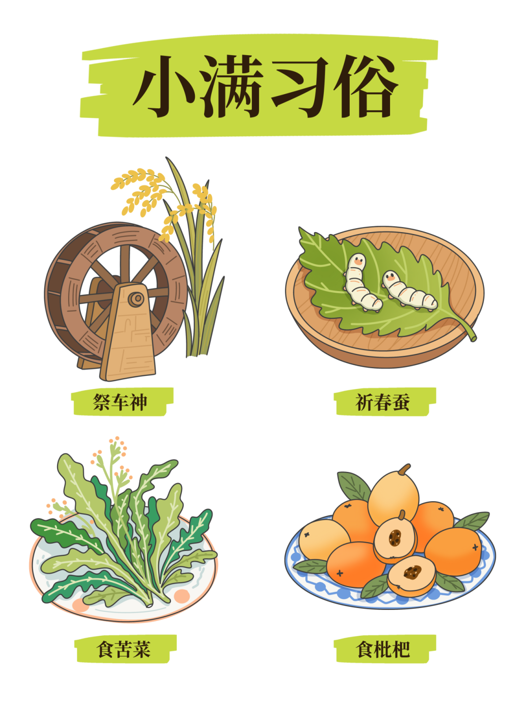 二十四节气丨小满未满，万物生长
