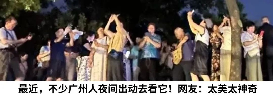 一声巨响！很多人家里突然“爆”了，赶紧自查