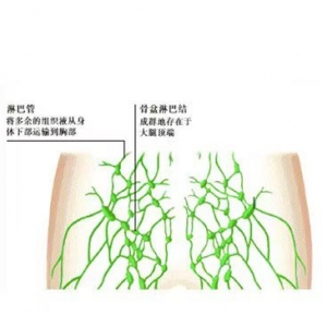 5岁男孩确诊已是晚期，且转移！别忽视身上这种“小疙瘩”，许多人都有 ... ...