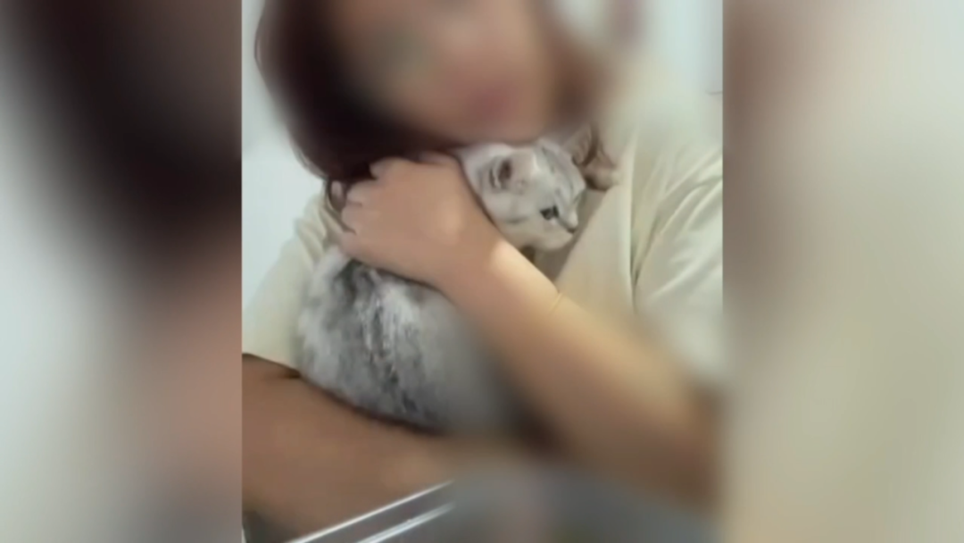 “我连猫都不如！”他竟为此痛杀女友！警方在卫生间发现一滴血！更诡异的是...案件详  ...