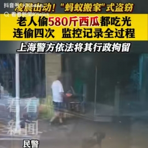 男子偷580斤西瓜全吃光，用小推车连偷4次！上海警方：已行拘 ... ...