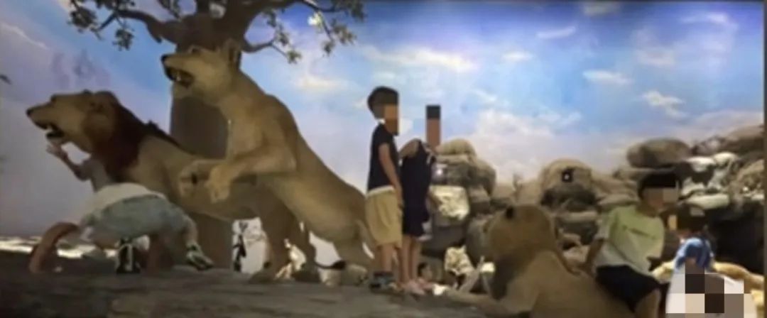 多名孩童闯入博物馆禁区，家长在旁助力并给孩子拍照！“曾有活体被摸死……” ... ...
