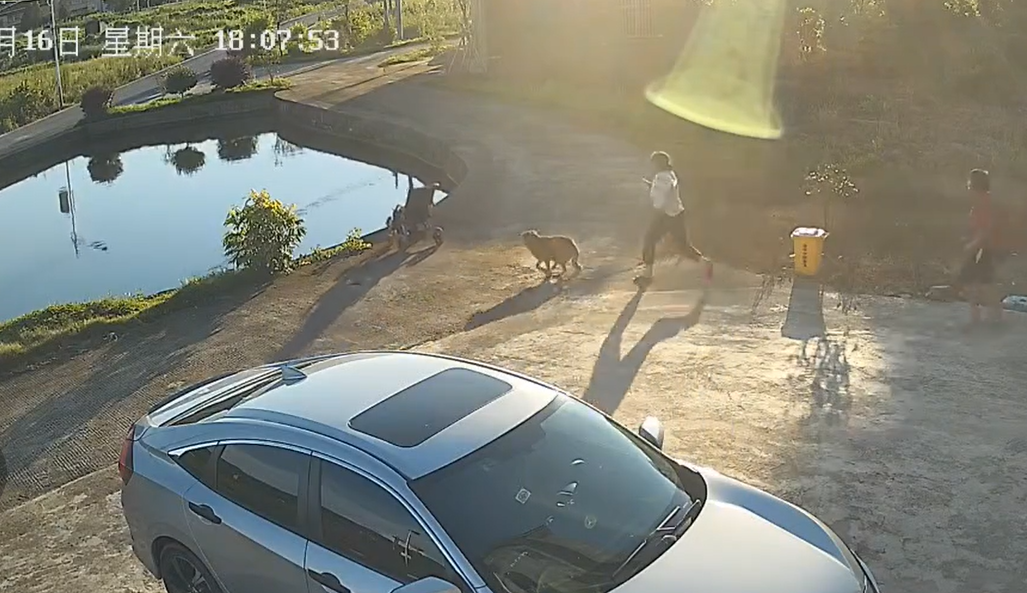 鱼塘边女子只顾与人聊天，婴儿车顺斜坡翻落水中：女子追出同落水，万幸被人救起 ... ...