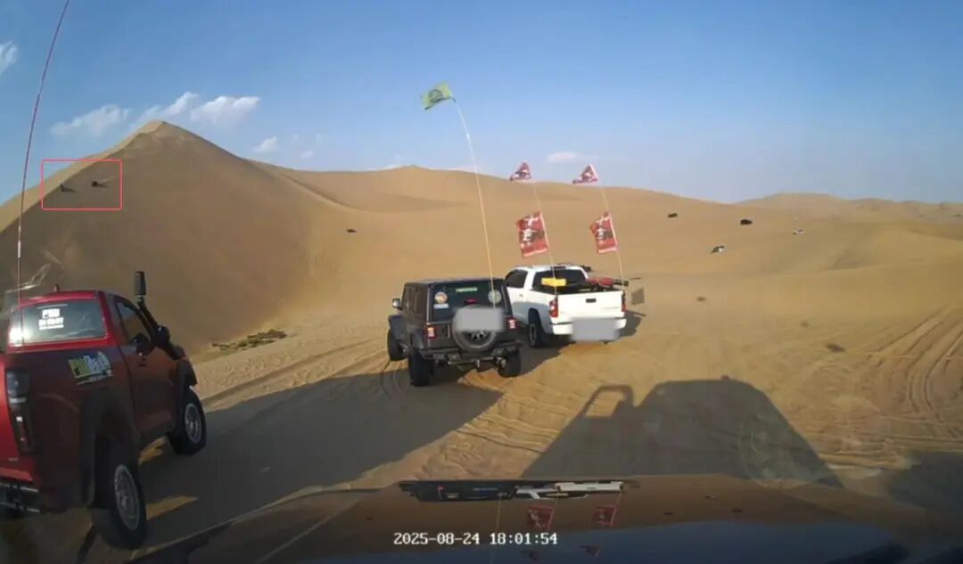玩沙漠越野遇难网红所乘车辆侧翻前疑被碰撞，现场画面曝光，妻子发声：为何无同行者说 ...
