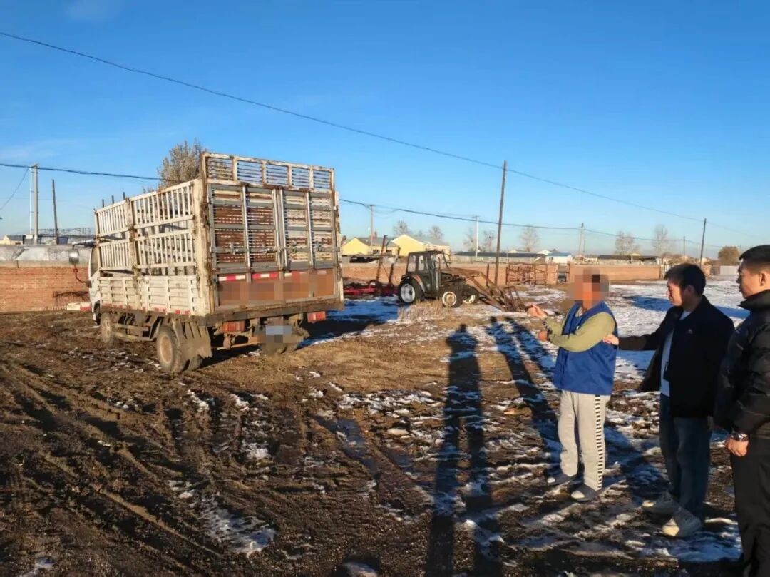 男子盗卖邻居家10头牛打赏女主播，所得70000元用于偿还打赏所欠债务，已被采取刑事强  ...