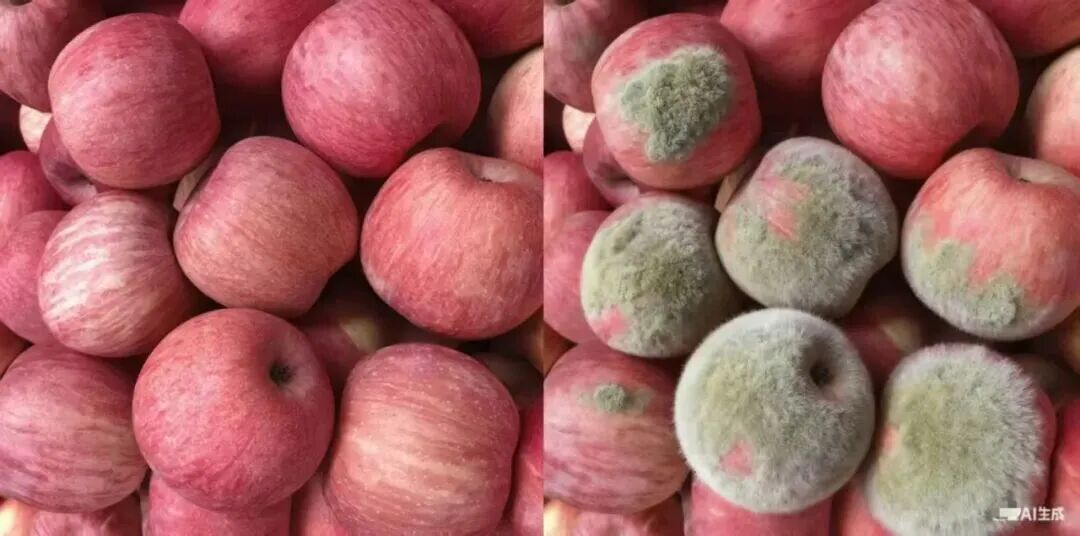 用AI造假P图，然后申请“仅退款”想“白嫖”！商家：让买家换个角度拍视频也不愿意，  ...