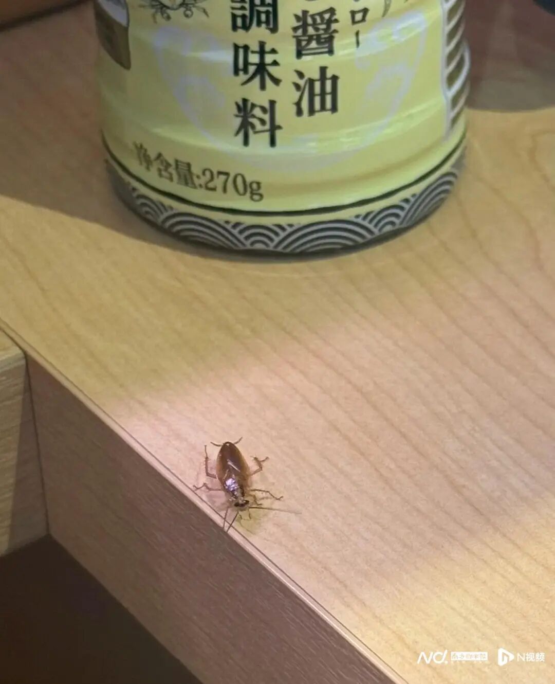 突然出现蟑螂，知名品牌门店道歉