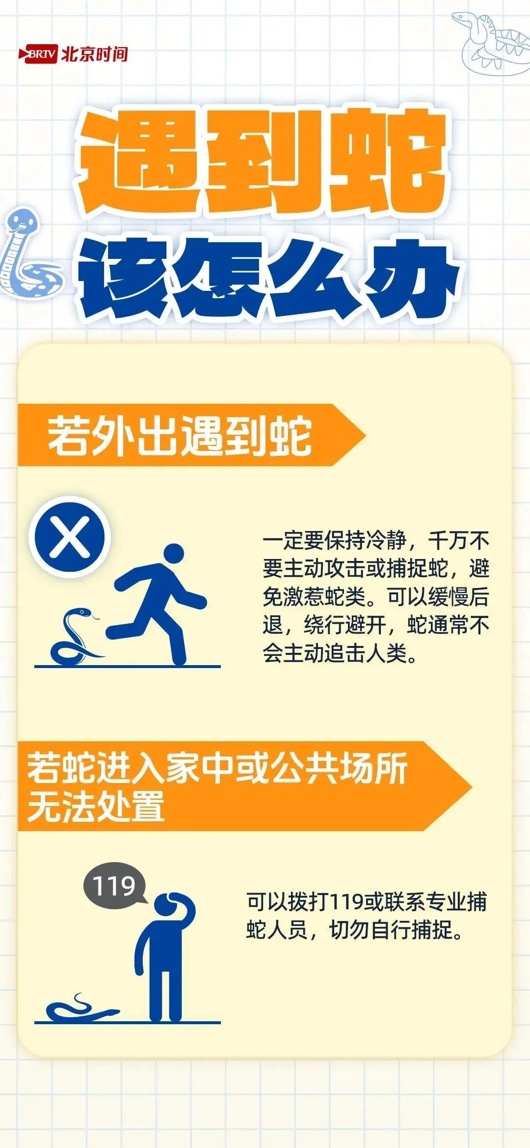 广东一采药人发现长约5米巨型蛇蜕，担心违法未将其捡走，网友：快走吧，我怕它回来找  ...