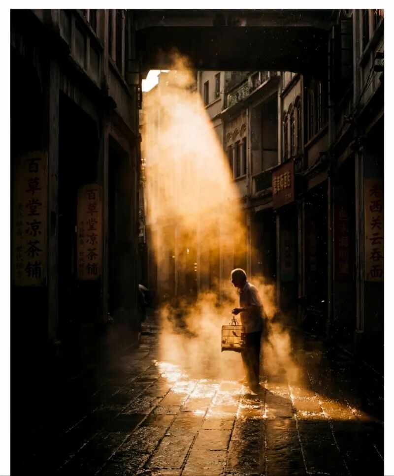 热搜第一！假照片拿摄影比赛第一名？