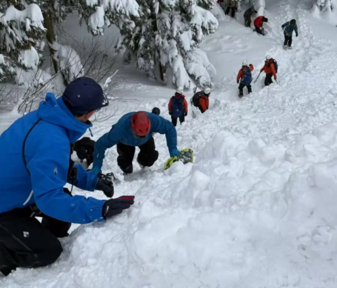 “悬吊半空”！22岁女游客，在日本死亡