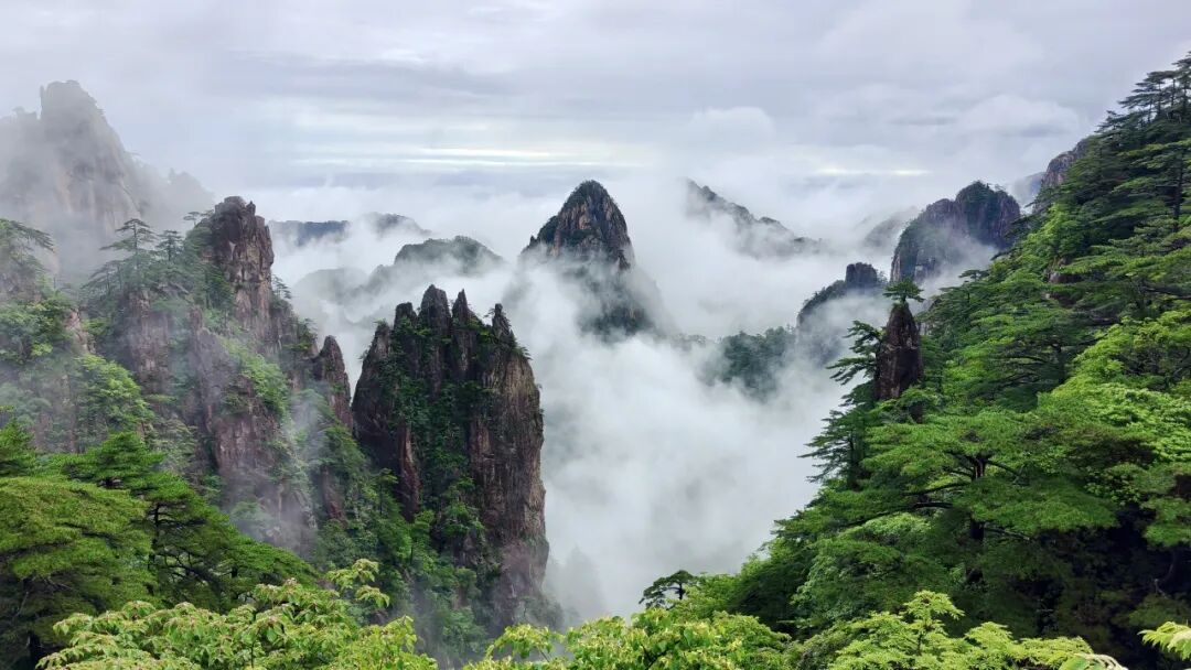 黄山旅游景区官宣2026年3月2日—3月8日全球女性游客免门票全球女性专属免门票活动时间2026年3月2日—3月8日（共7天）活动对象全球女性游客免票门票景区黄山风景区、花山谜窟景区太平湖景区、齐云山景区（含逍遥街）  ...