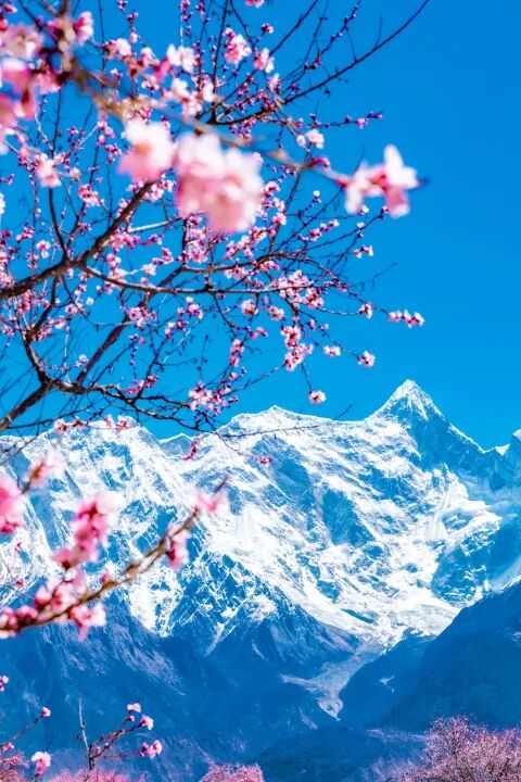 3月最应该去哪儿玩！