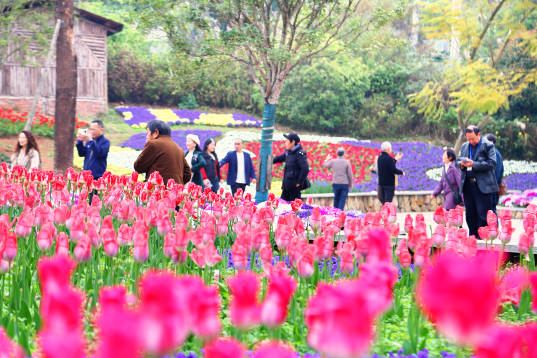 登尖山、赏桃花、尝土货！“登超”即将启幕，这座山曾是飞行员的导航“灯塔” ... ...