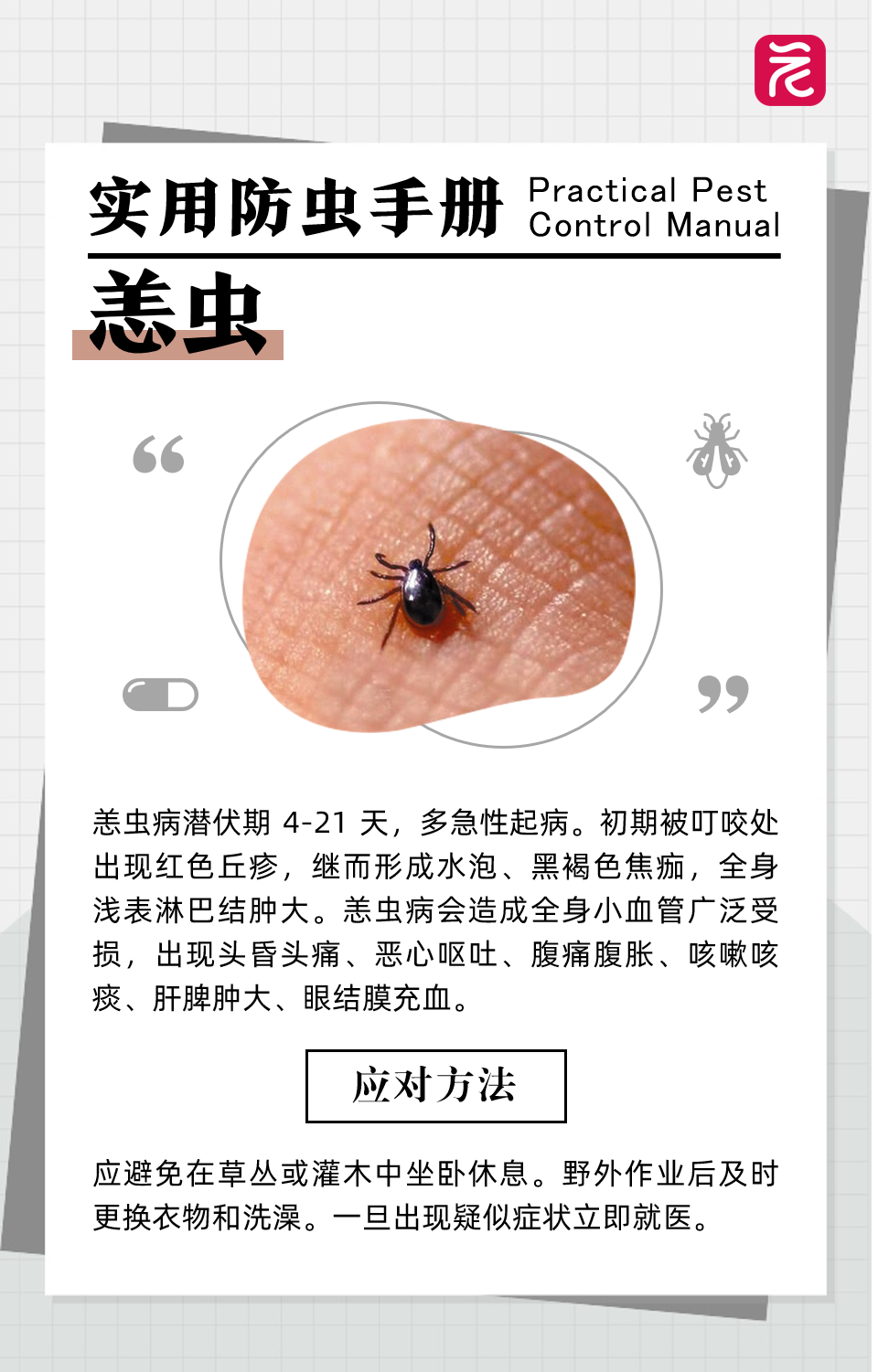 3月14日，澳门特区政府卫生局通报，接获1例恙虫病（又称丛林斑疹伤寒）疑似病例报告，这是澳门今年第1例恙虫病疑似病例，为输入性病例。具体如下：患者为31岁男性，澳门居民，于2月26日左大腿出现黑点，并伴有局部皮 ...