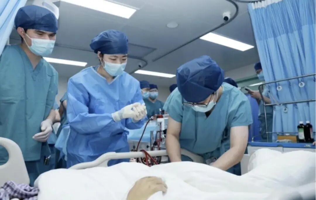 国际首例！猪肝“外挂”66小时，广州的这例手术改写肝衰竭生死局 ... ...