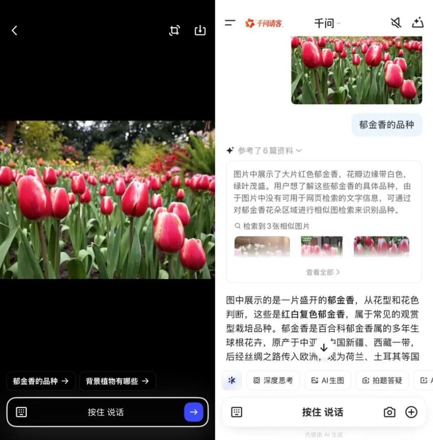 千问APP识花需求暴涨220%！杭州人最爱问：这是哪种郁金香