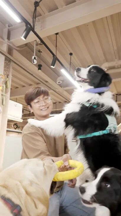 日托收费98元至138元，按性格科学分班，宠物上起了新型“幼稚园” ... ...