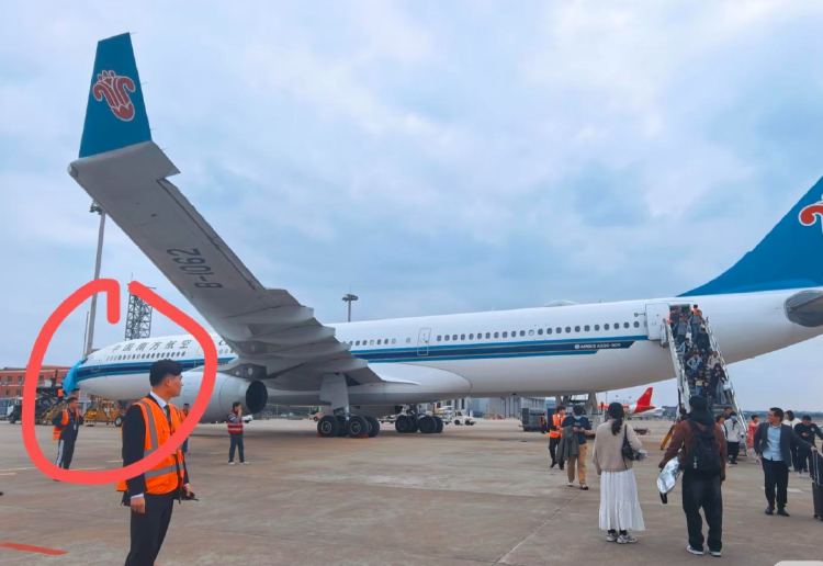 上海飞深圳一航班起飞后遭鸟击，乘客称机头处雷达罩疑脱落，南航通报：航班起飞后遭遇 ...