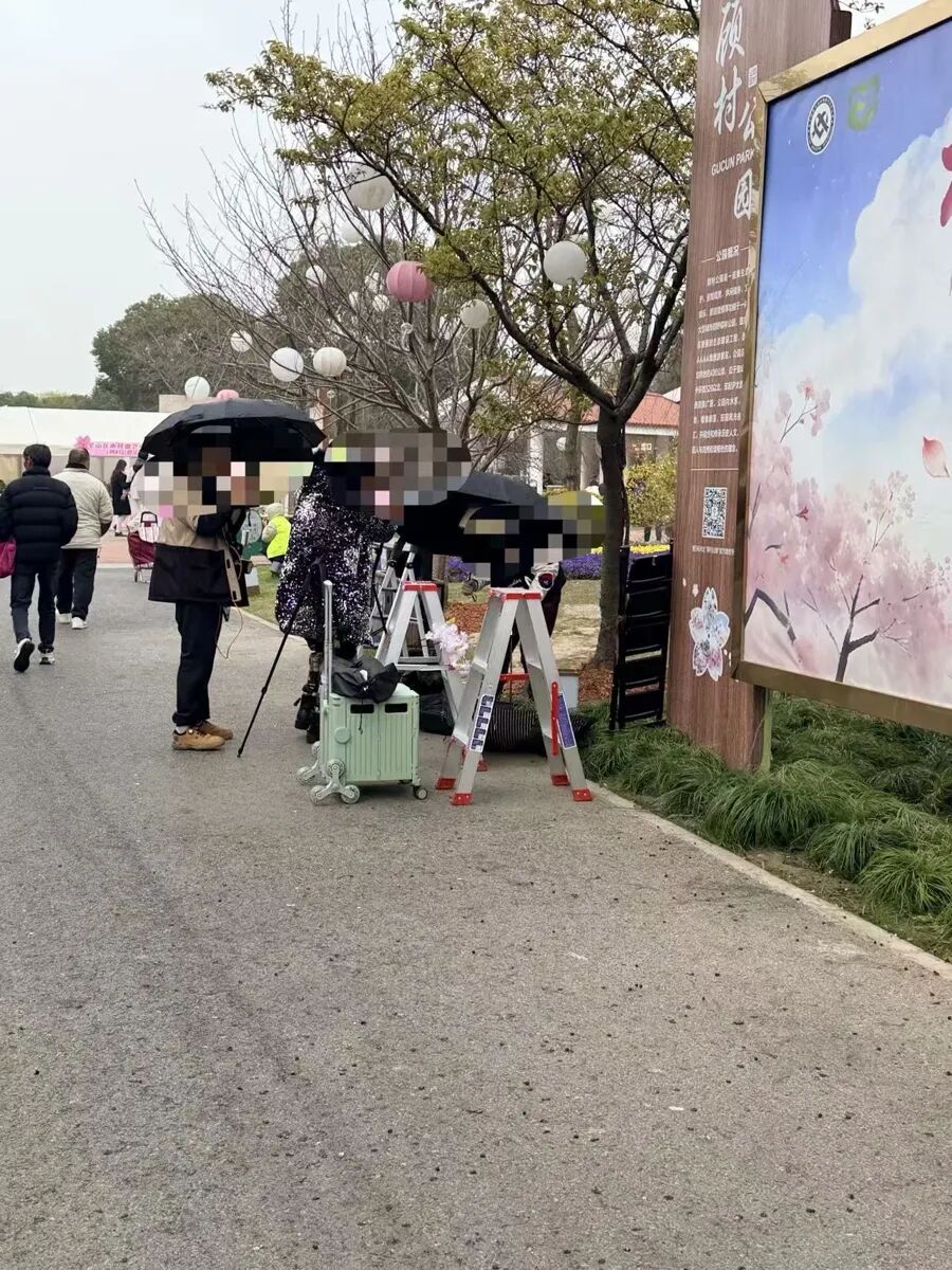 近期爆火！上海赏樱胜地被吐槽：根本无法靠近拍照！“几乎每棵树都被商拍霸占”，公园 ...