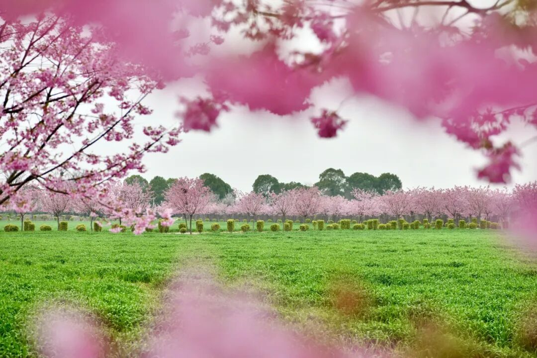 确认！大反转来了！嘉兴人今天早点出门，本周还要特别注意…… ... ... ...