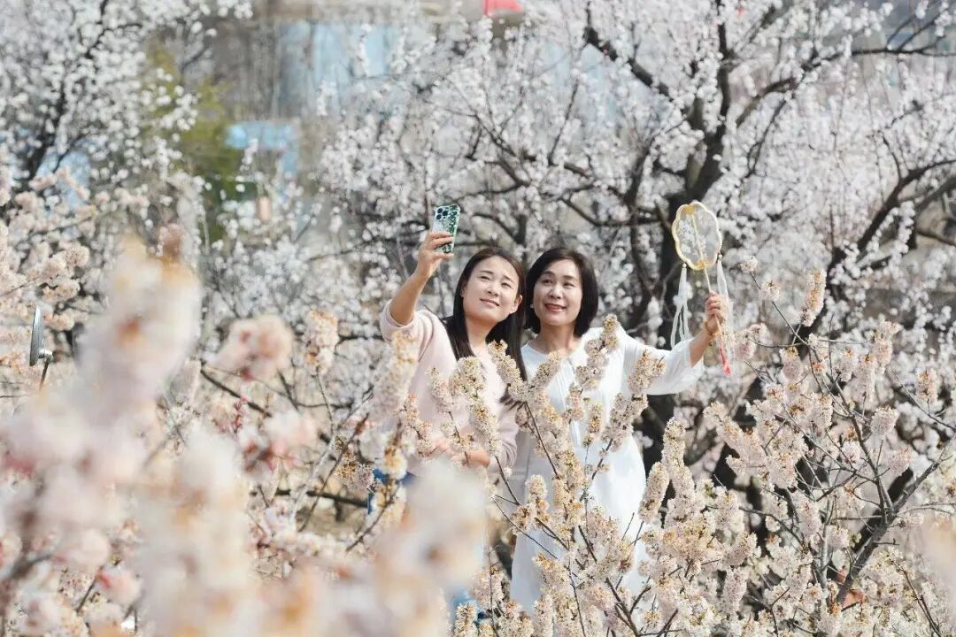 今天南方地区将进入本轮降雨最强时段，江西、福建、贵州等地部分地区有暴雨；广西、广 ...