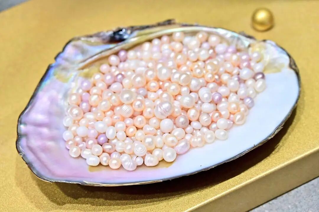 封面新闻记者 罗轩 摄影报道 海报设计 何屿“大小、形状、色泽俱佳的顶级珍珠，最高可卖5万元。”谁也没想到，原本为了解决养小龙虾的水质问题顺带养出的珍珠，如今能在市场上卖出如此高价。位于川东平行岭谷间的达  ...