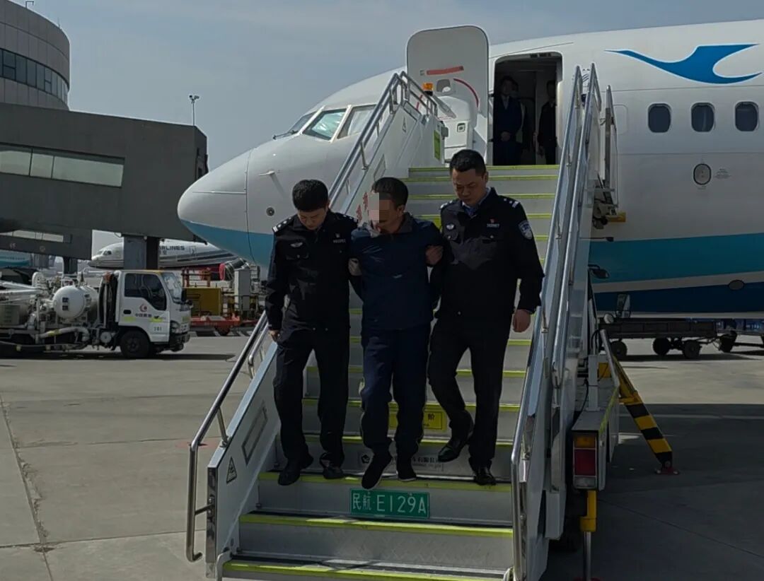 骗贷超6.6亿余元，嫌疑人张某被公安机关押解回国，警方披露作案手法：通过虚假材料和  ...