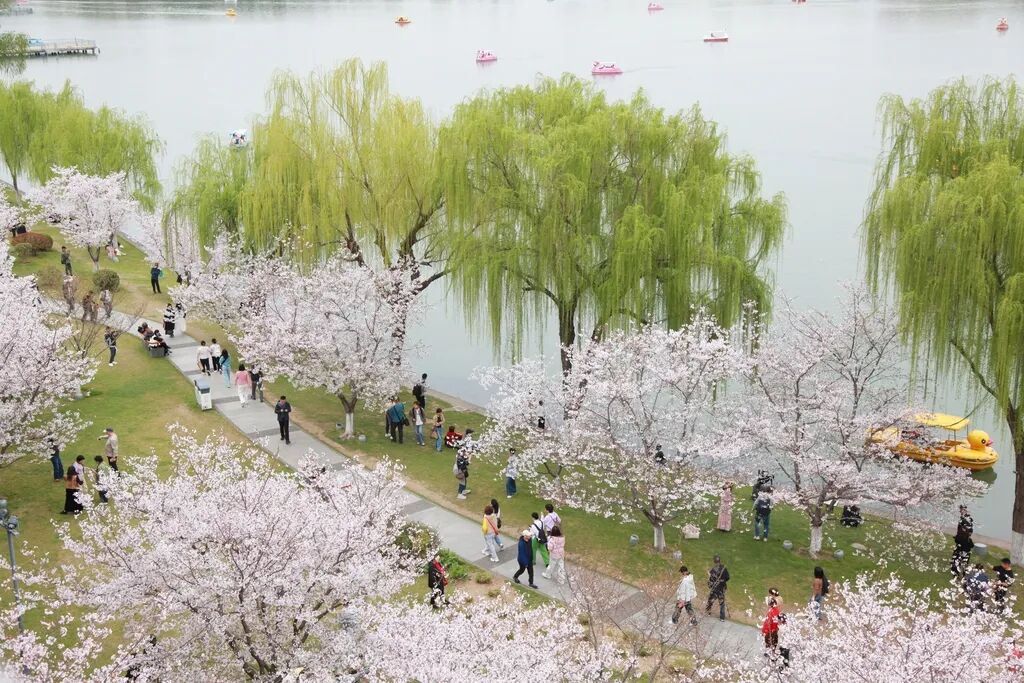 “全体员工享受三天带薪春假”，大人和孩子都需要“春天” ... ... ...