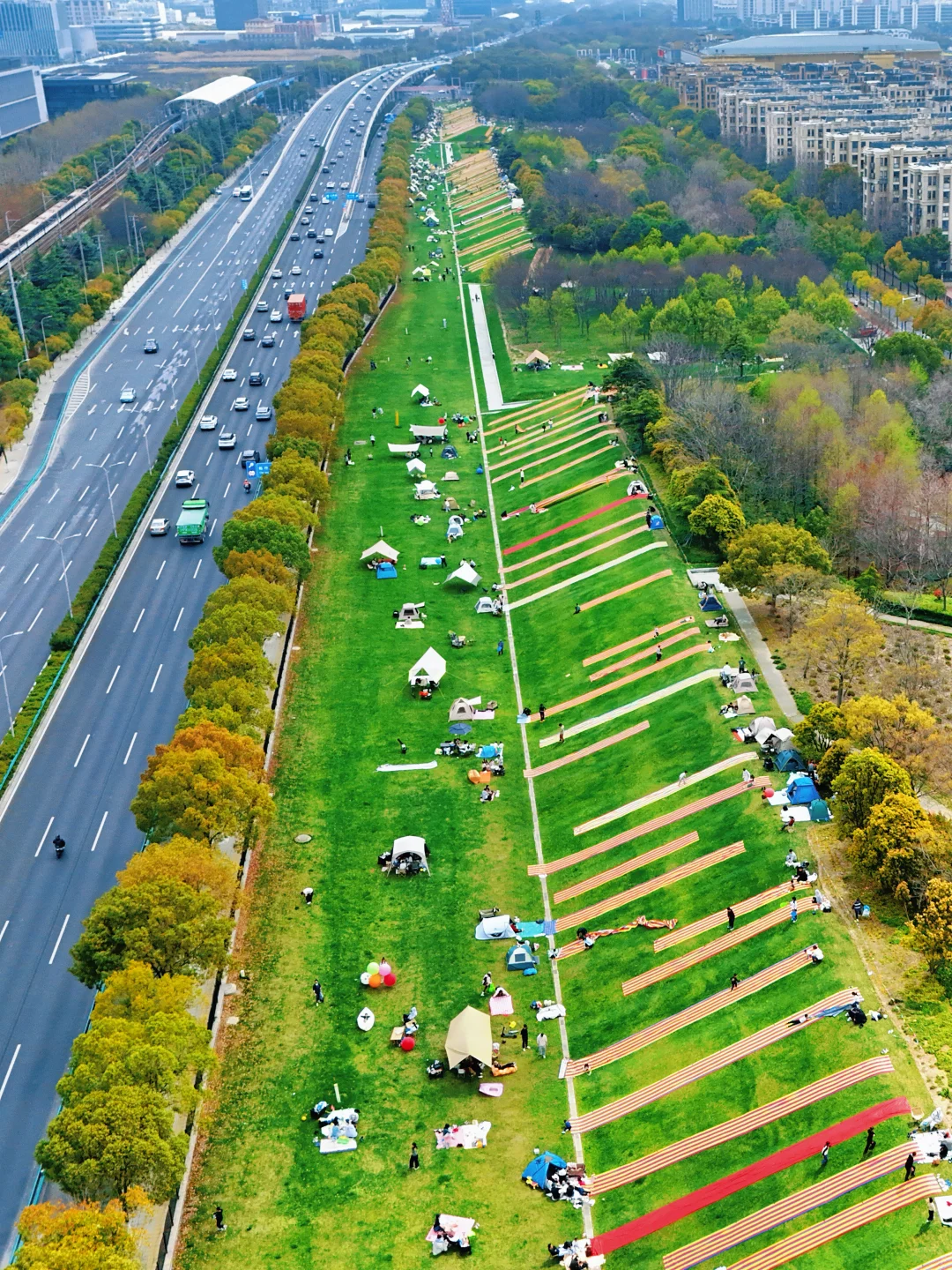近日位于浦星公路沿线（浦康休闲公园）免费大草坪因滑草活动爆火长度约2公里的斜坡吸引了不少家庭带娃体验因频繁踩踏导致草皮退化泥土裸露生态遭破坏当地已发文宣布即日起分批封闭养护预计6月底完成补植修复期间暂停 ...