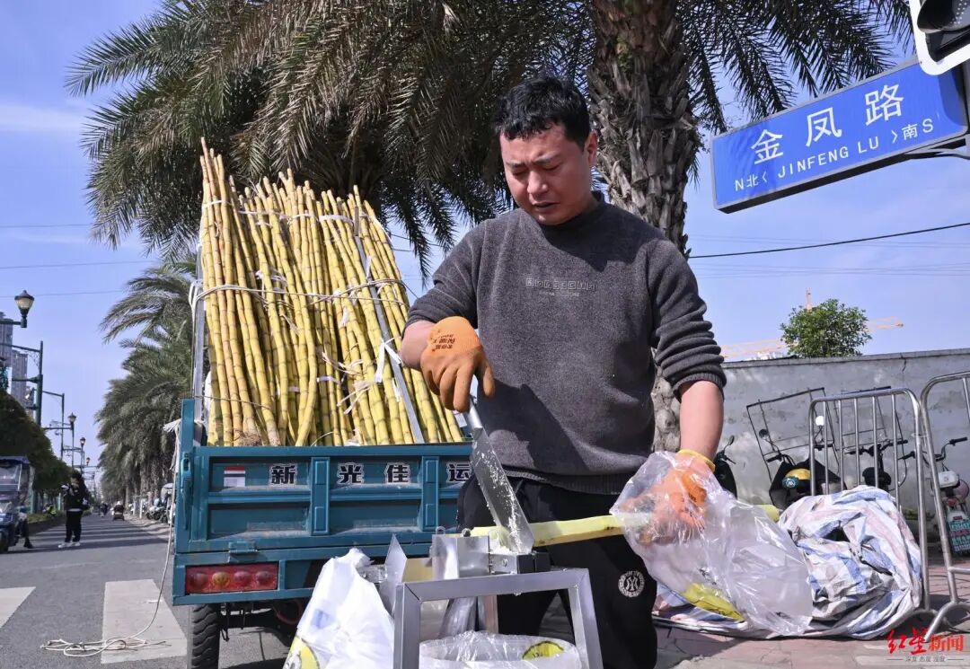 5吨甘蔗不到两小时送完，全网牵挂的成都“甘蔗哥”康复出摊：想接住这一波流量，为更  ...