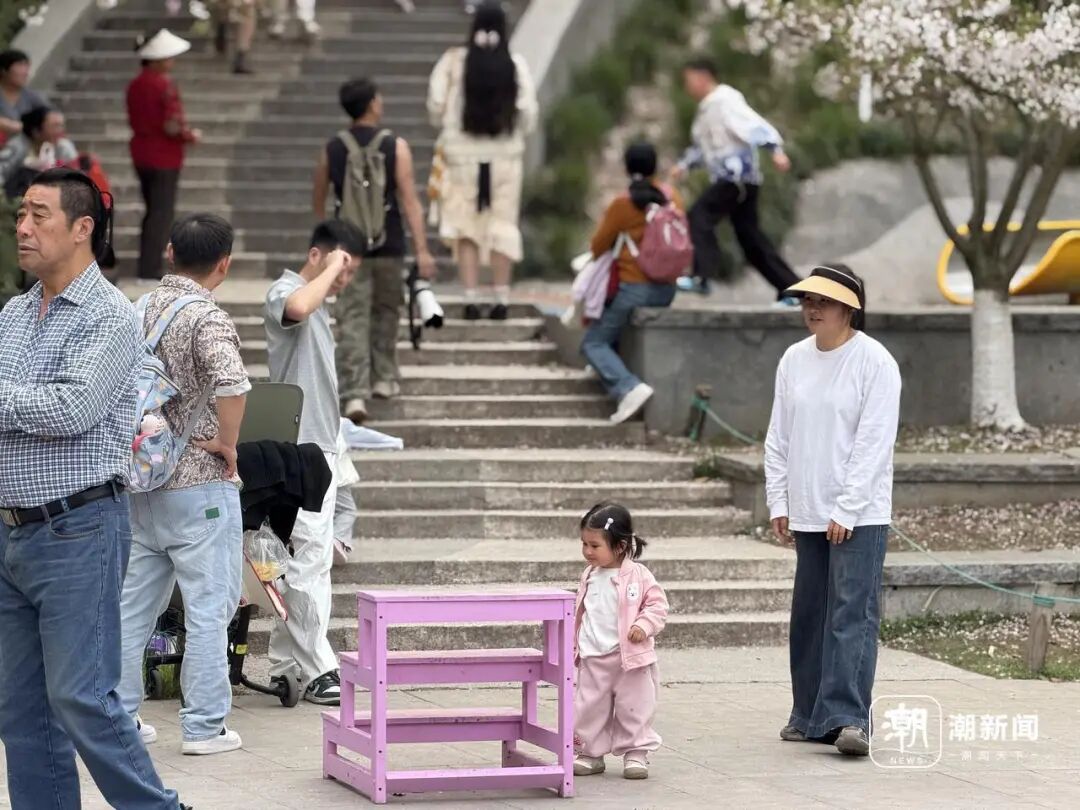 杭州“最忙小粉梯”刷屏！按身高定制，一站拍出樱花大片