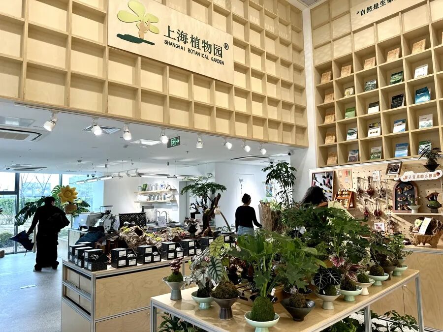 上海热门公园“宝藏地”突然火了！试营业期间游客争相打卡！网友：成年人的治愈所 ...