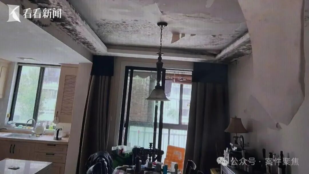 人在国外房被泡！4个月后回家全屋霉变，损失50万！法院：自己也要担责 ... ...
