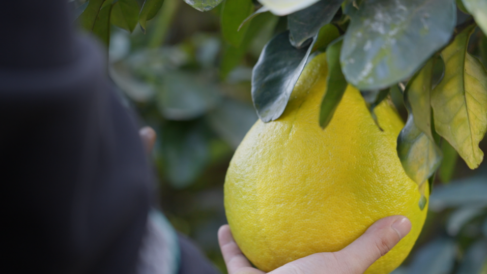 爆火！有老板一月卖出1000万，订单量猛增，很多人正在不断加入... ... ... ...