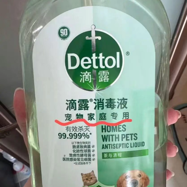 女子称使用宠物专用消毒液拖地后，家中5只幼猫全部死亡，品牌回应：深表痛心，目前无  ...