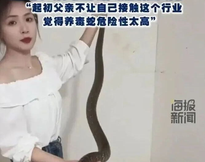 ‘’五步蛇每个月取两次毒，每克卖40到200元；蛇肉一条两三百，大蛇上千元。”靠着5万多条五步蛇和近1万条眼镜蛇，广西桂林的秦女士大学毕业后回村帮父亲养蛇，年入超百万元。她说自己不怕蛇，“出生前家里就在养蛇  ...