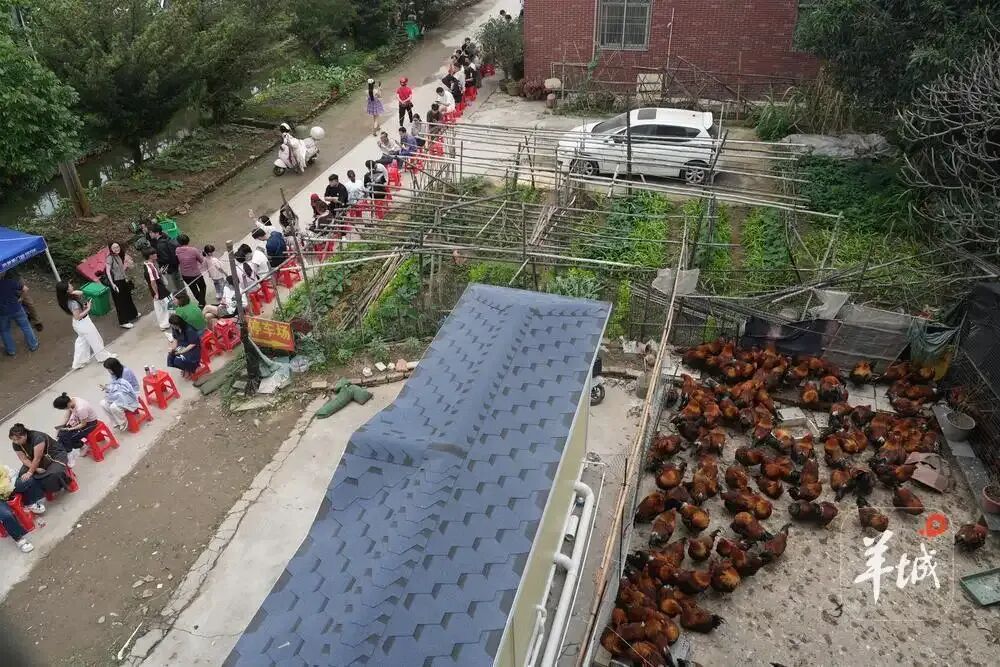 老莫又圈粉了，这次和鸡煲没有关系