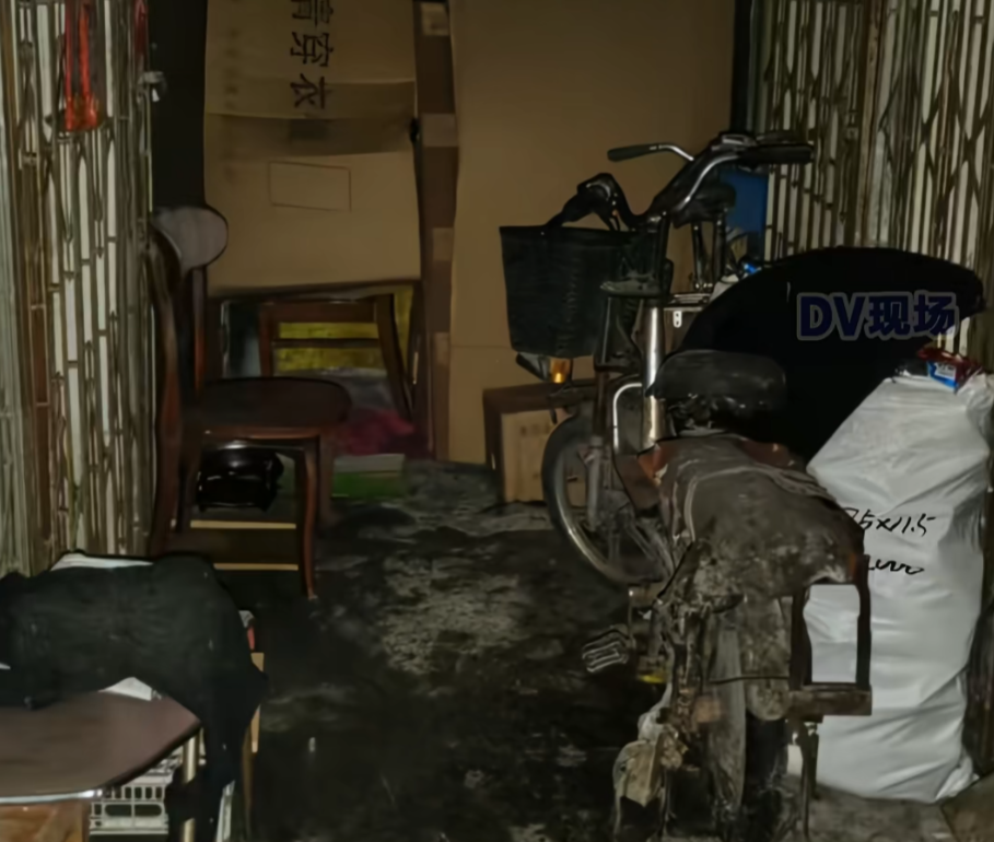 老人投喂流浪猫致小区臭气熏天！记者现场采访结果被熏到干呕“yue”不停！你怎么看？  ...