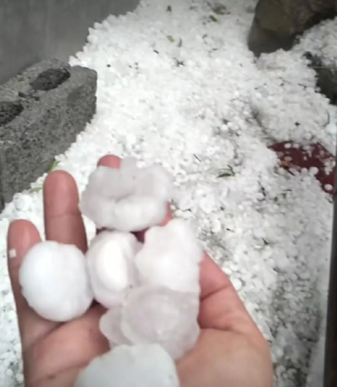 广西田林遭遇冰雹天气，地里白茫茫一片，村民：屋顶被打穿，最大的有鸡蛋那么大 ... ...