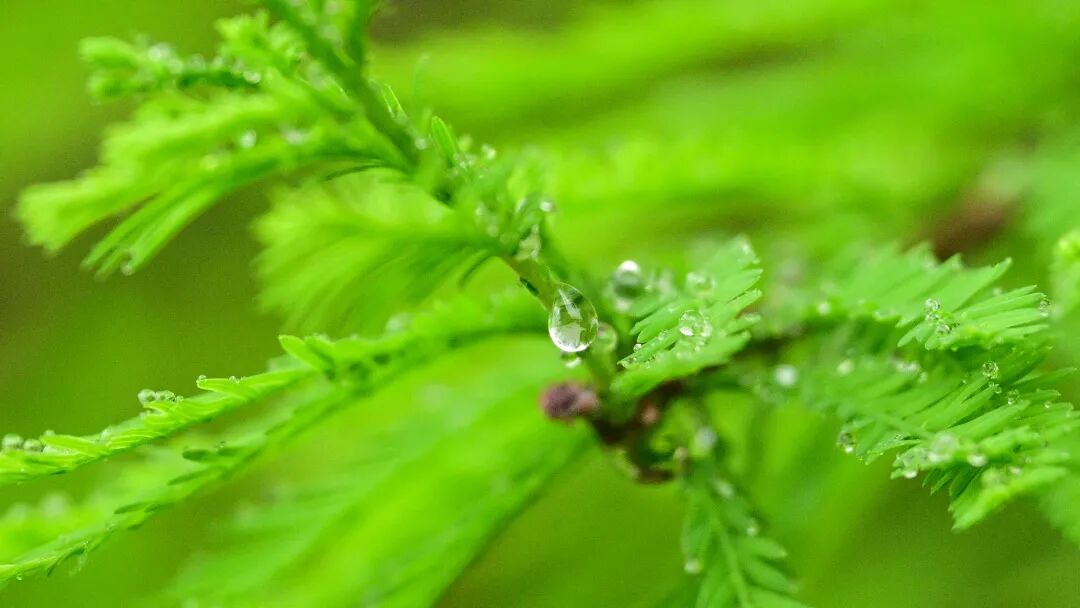 广州今天白天雨势将减弱然而下周仍有雷阵雨23—25日又有一次明显的降水过程广东省气象台预计，4月18日—19日，广东以多云为主，部分市县有弱降雨。4月20日韶关、清远、肇庆有中雷雨局部大雨或暴雨。广州市气象台预计 ...