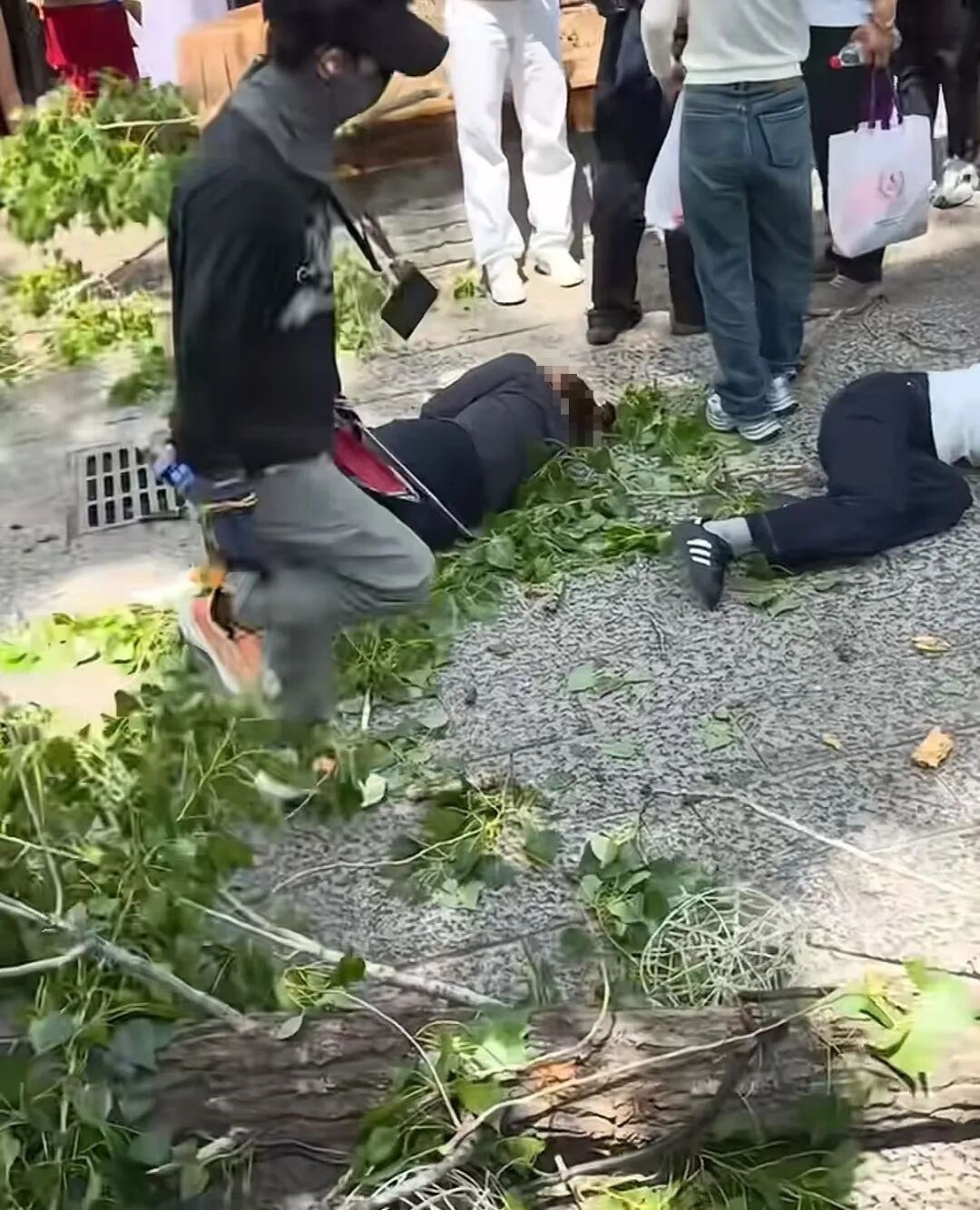 开封“万岁山武侠城”一棵树断裂砸倒多名游客，景区致歉