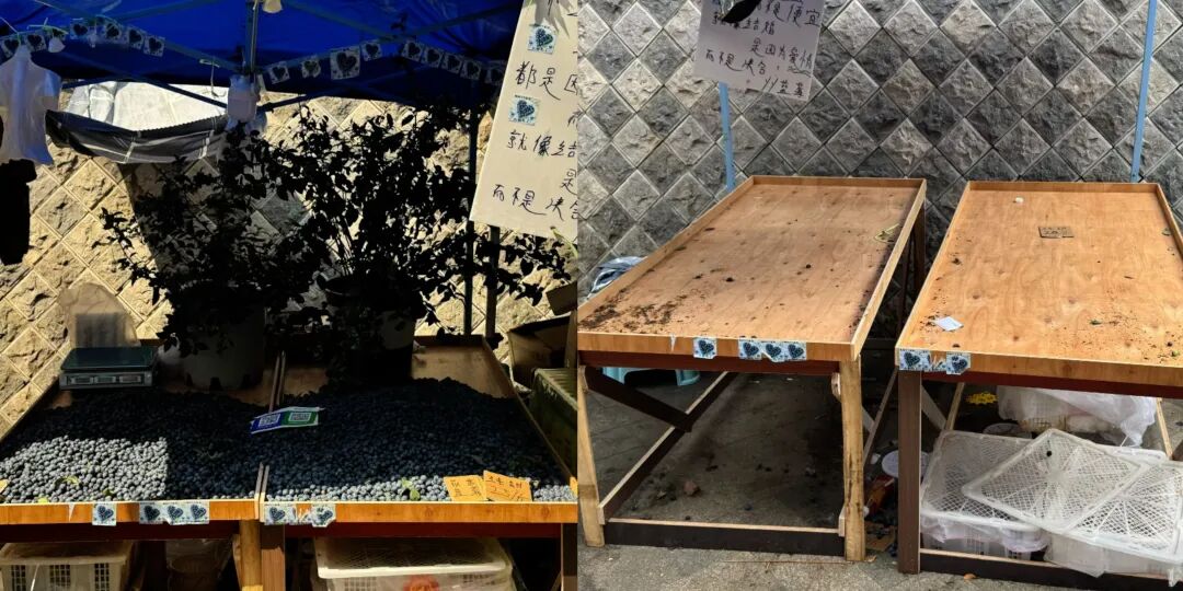 三人泼水节将闹市蓝莓摊洗劫一空，摊主称150公斤蓝莓被盗损失8千元，云南警方介入：正 ...