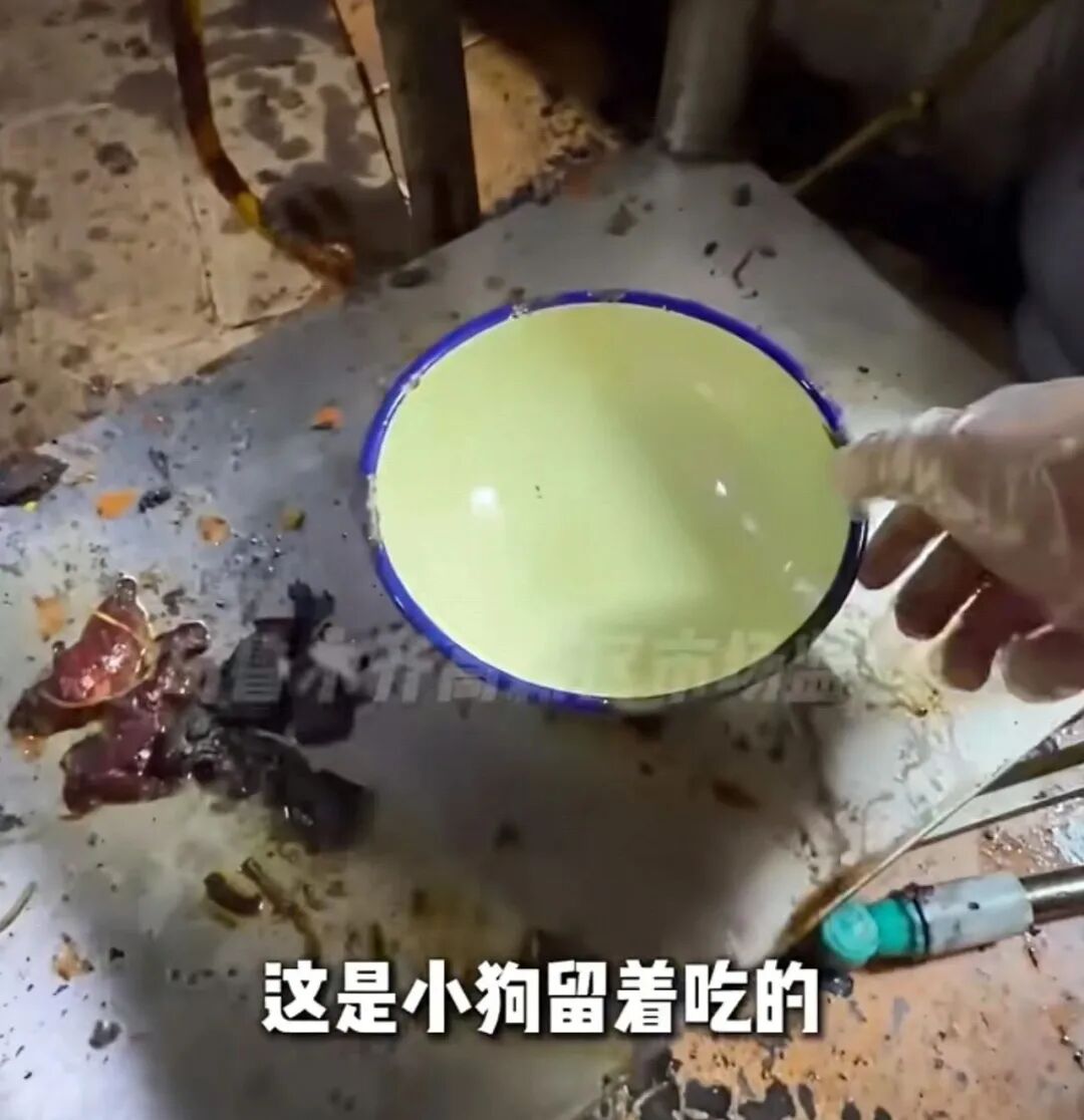 “外卖爆单”的网红店被查！网友：最干净的是狗碗
