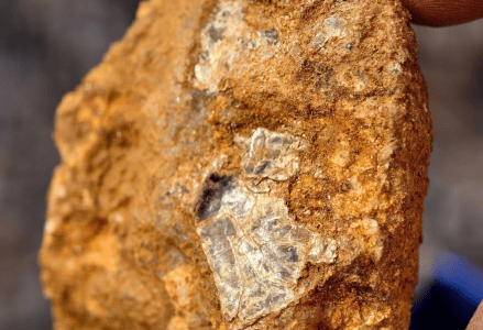 8岁男孩与家人爬山发现“金矿”线索？孩子父亲：已上报相关部门 ... ...