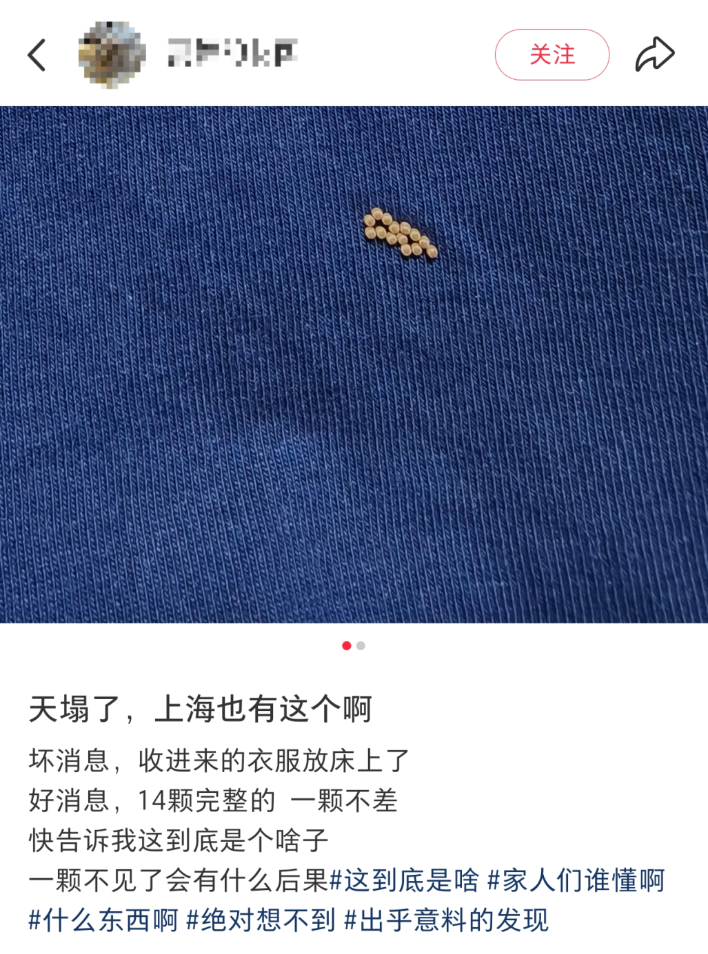 上海人快自查！有人家里阳台已大量出现，官方提醒：千万别摸 ... ... ...