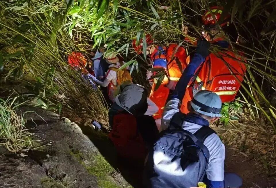 违规进入，立案调查！